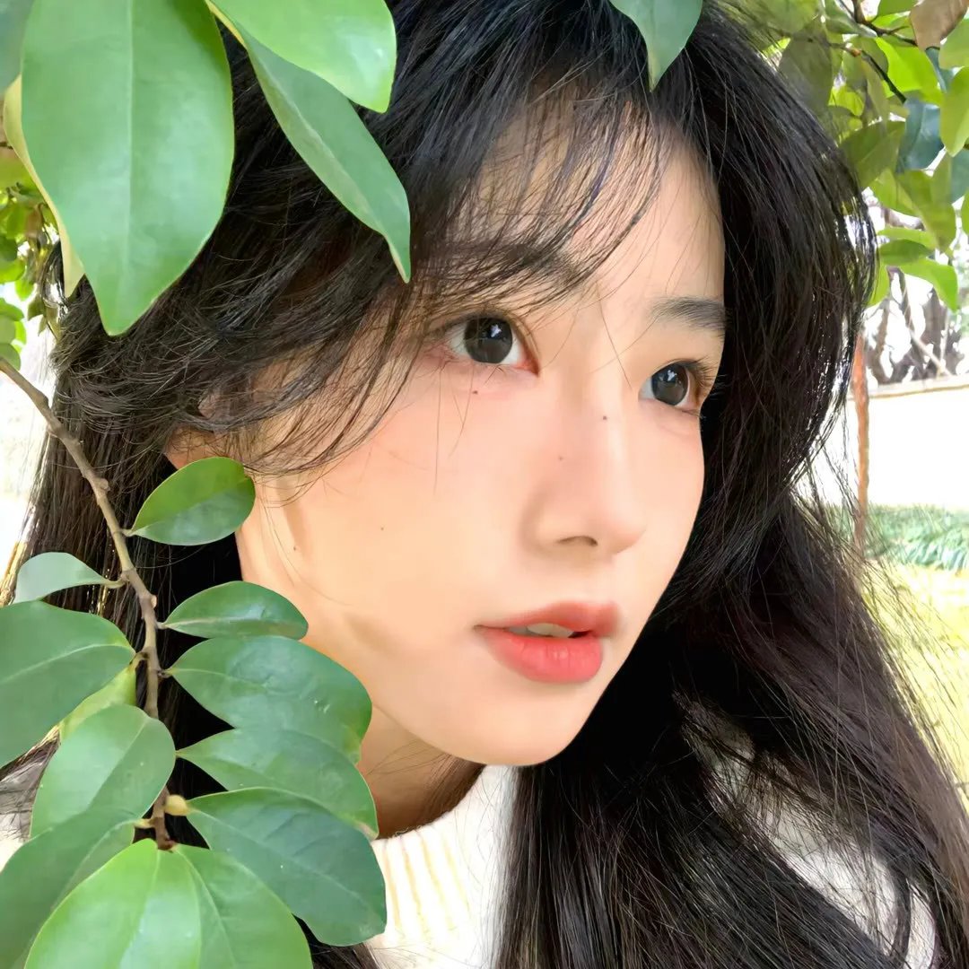 偷马贼:时间之路